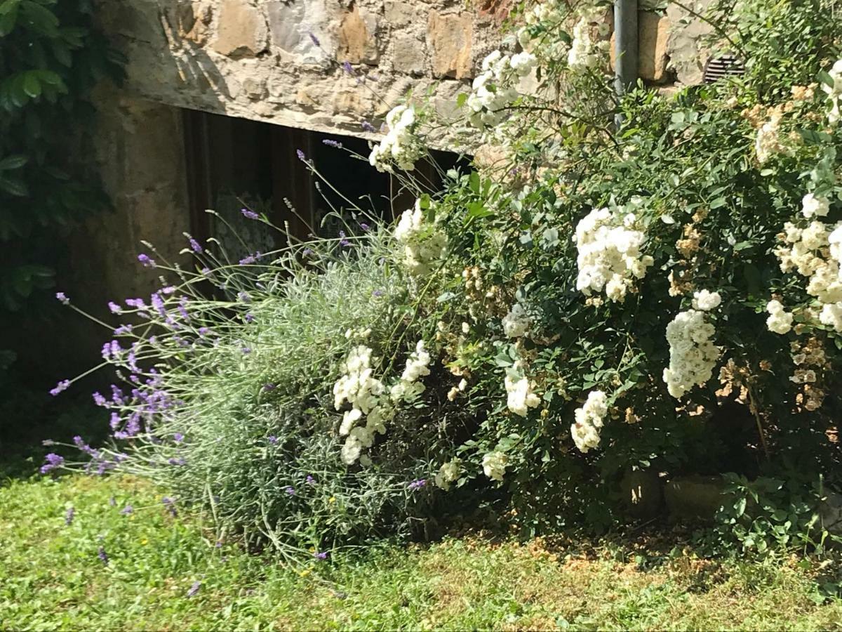 Montebeni Apartments Greve in Chianti Luaran gambar